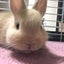 ユウタのサムネイル