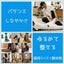 未来を育てるカラダ職人のサムネイル