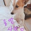 bacのサムネイル