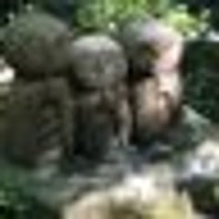 トクのプロフィール