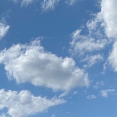 あおぞらのプロフィール