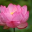 綾瀬　優のサムネイル