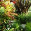 画像 Golden Child Plants －黄金の庭へ－のユーザープロフィール画像
