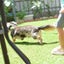 あつのサムネイル