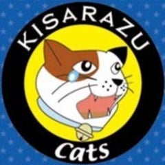 梅雨咲のプロフィール