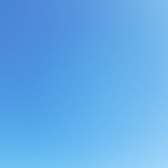 Tsubameのプロフィール