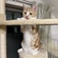 ラムちゃんとわたしのサムネイル