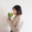 あゆみのサムネイル
