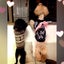 小春のサムネイル