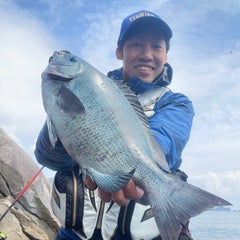 谷脇 英二郎のプロフィール