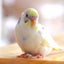 aoiのサムネイル