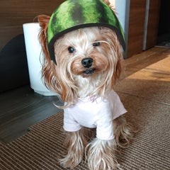 nanaのプロフィール
