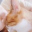 ちゃ豆のサムネイル