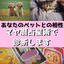 マヤ暦占星術師　KYOのサムネイル