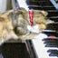 画像 ピアノと猫と不整脈の日々のユーザープロフィール画像