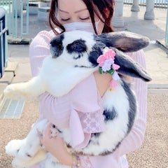 ꧁ 𝑆𝑎𝑐ℎ𝑖𝑘𝑜 ꧂のプロフィール