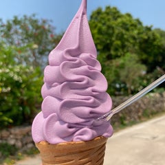 senのプロフィール