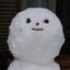 saiesu_junboのサムネイル