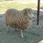 ななみのサムネイル