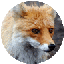 さぼりchのサムネイル