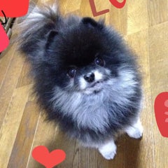 marin164のプロフィール