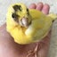 yuminのサムネイル
