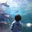 koyagiのサムネイル