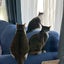 るみママのサムネイル