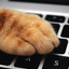 トシカネ（年金）のサムネイル