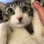 i am iのサムネイル