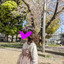 peach-20201207のサムネイル