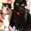 mamiranncariのサムネイル