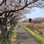 三兄弟ママのサムネイル