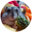 himeのサムネイル
