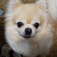 ゆうのプロフィール