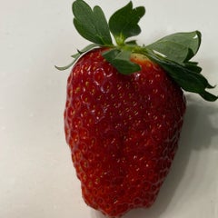 chocolat7272のプロフィール