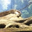 アラフォーママのサムネイル