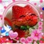 ‡にゃん盃口‡(ぬこっち☆彡)のサムネイル