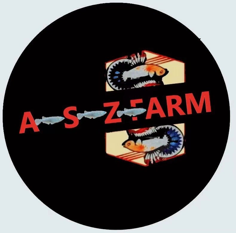 osakana-koubou-abuzaya