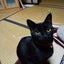 ツカジェイのサムネイル