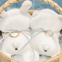 うさぎのプロフィール