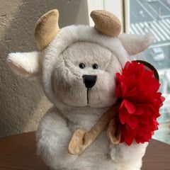 ゆっこのプロフィール