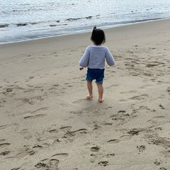 mashiroのプロフィール