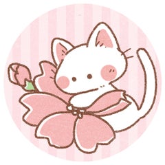 ササキアツコのプロフィール