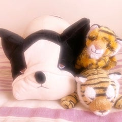 みいよんのプロフィール