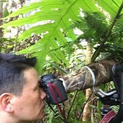 feathercollectorのプロフィール