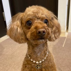 あさやんのプロフィール