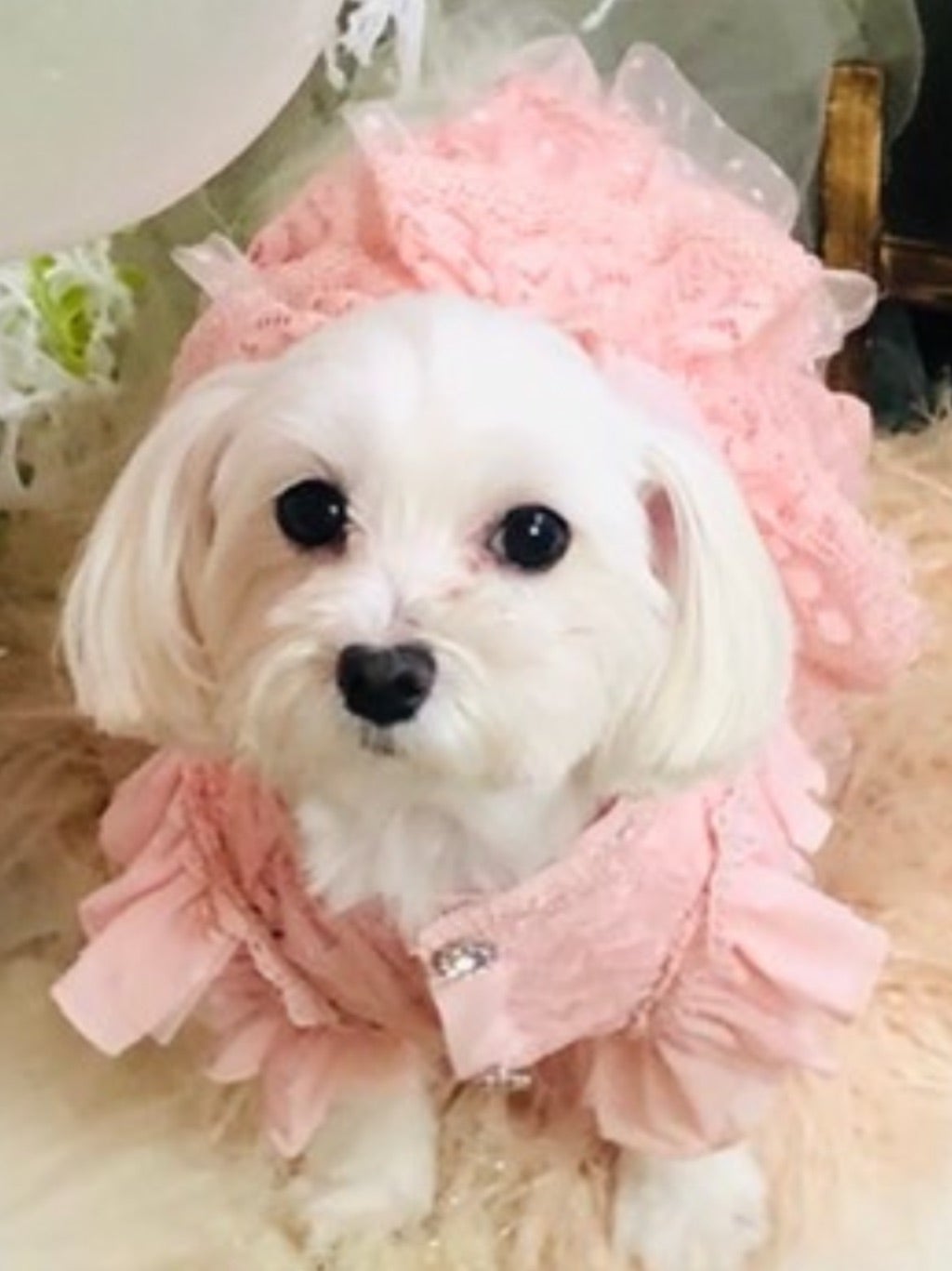 やっちゃん やっちゃんさんのプロフィールページ