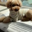 love-machi-blogのサムネイル