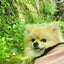 ナリのサムネイル